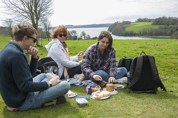 Iicnic, Trelissick Garden